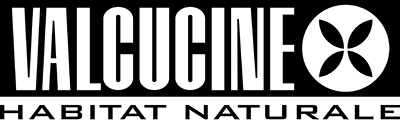 valcucine copy.jpg
