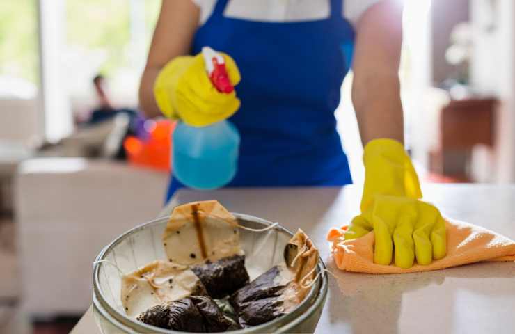 donna pulisce casa con le bustine del tè