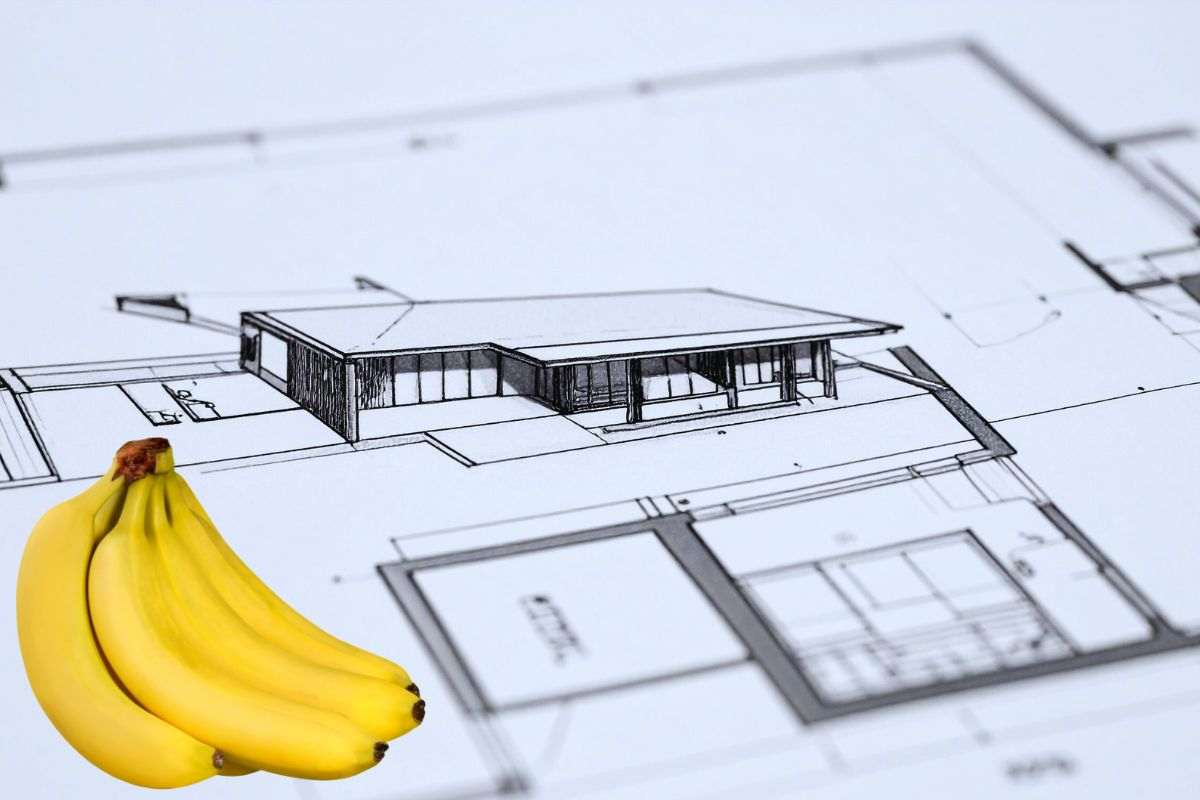 Progetto architettonico e casco di banane