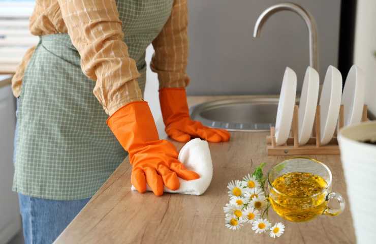 Persona pulisce le superfici con la camomilla 