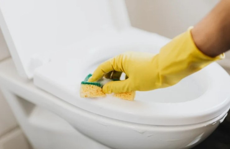 Persona pulisce il wc con la schiuma da barba