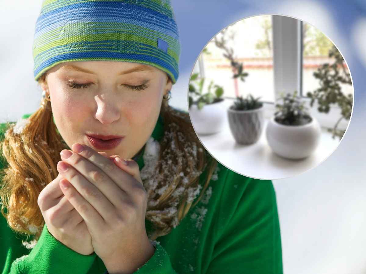 sfondo donna che mostra di avere freddo, in primo piano piante in appartamento