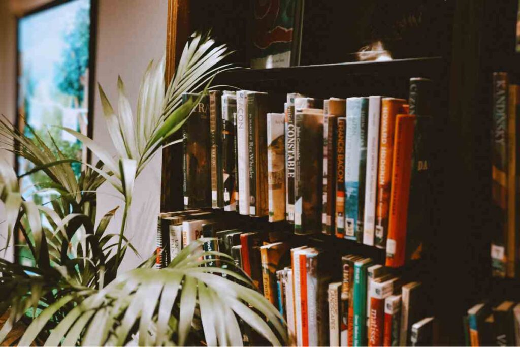 libreria con pianta davanti