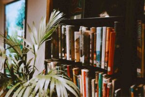 libreria con pianta davanti
