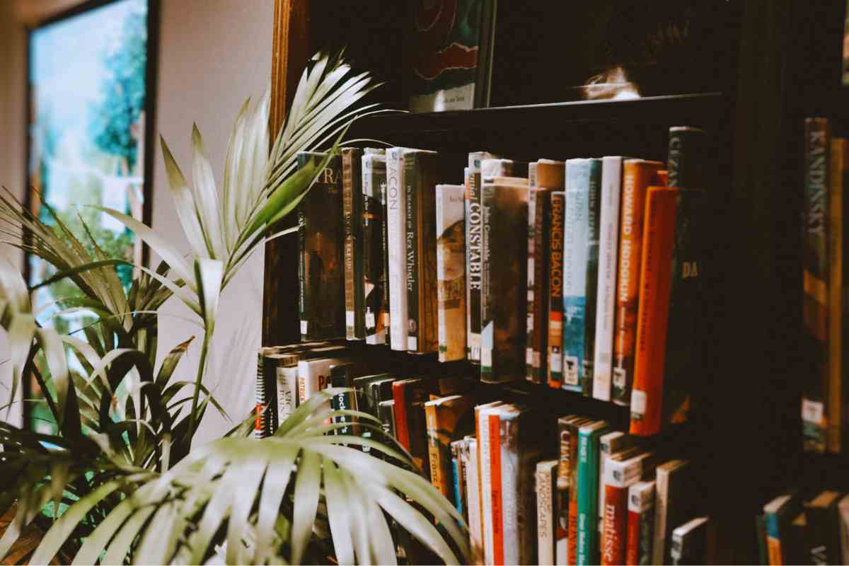 libreria con pianta davanti