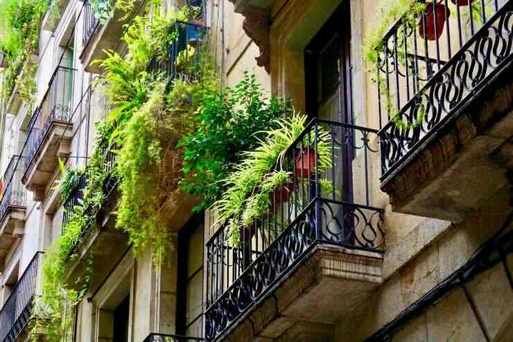 balconi in condominio con piante
