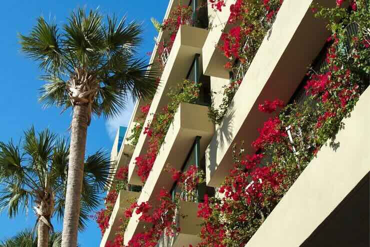 condominio con piante