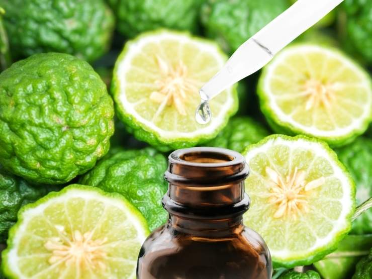 bergamotto sfondo e bottiglietta di olio essenziale in primo piano