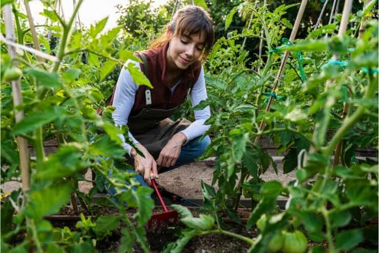 donna che fa giardinaggio