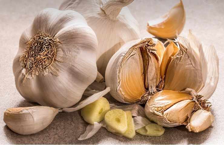 Testa e spicchi d'aglio