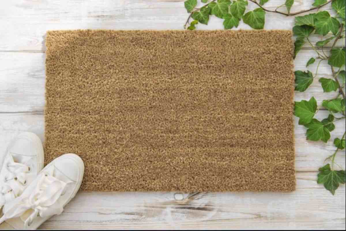 zerbino davanti l'uscio di casa 