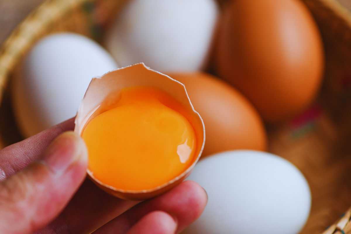 Donna che tiene in mano un tuorlo d'uovo