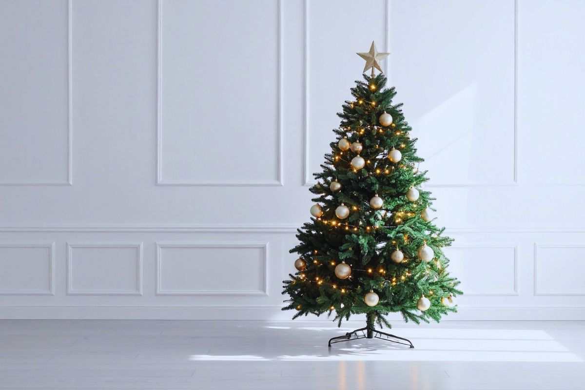Albero di Natale in stanza vuota