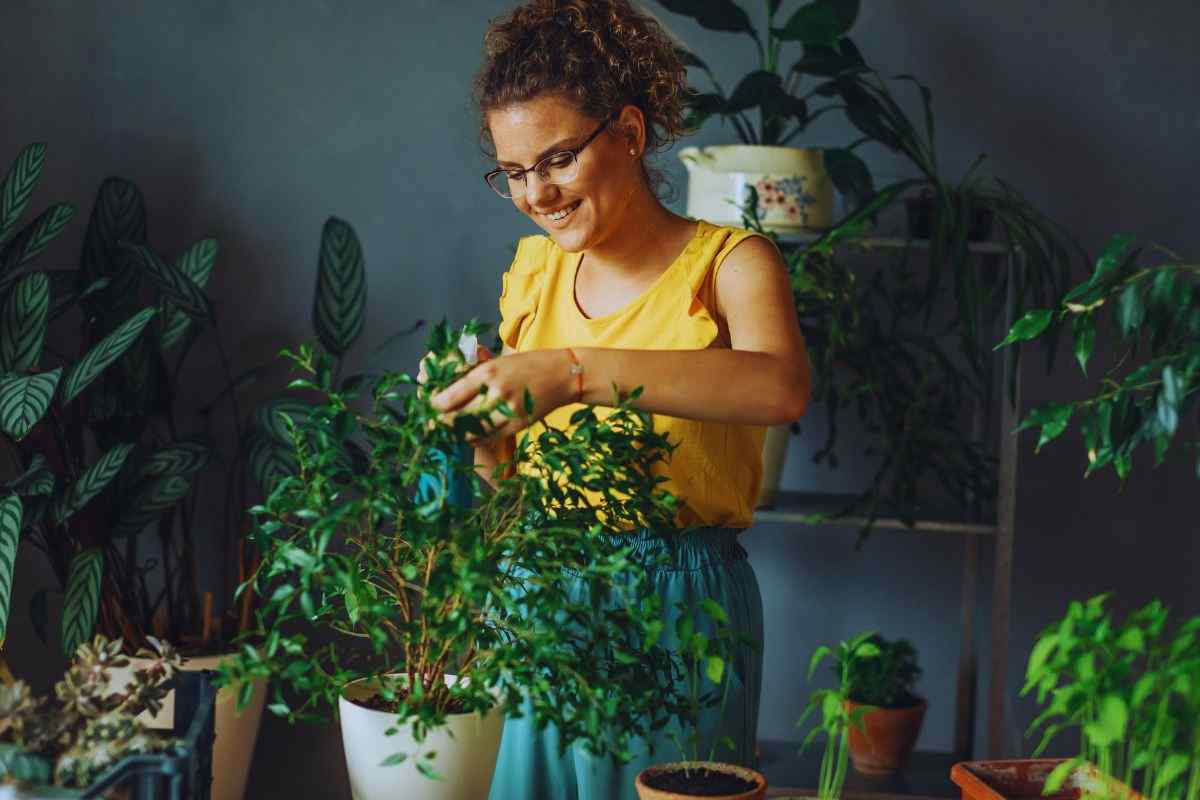 Ragazza che cura una pianta