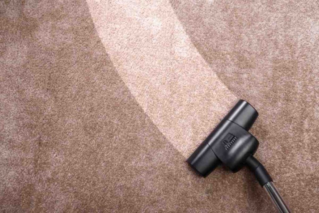 persona passa l'aspirapolvere