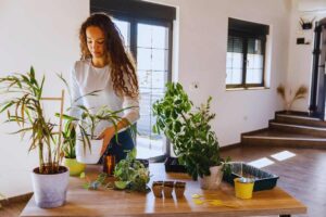 Ragazza che travasa piante