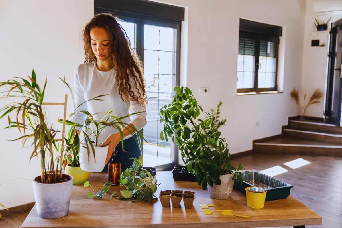 Ragazza che travasa piante