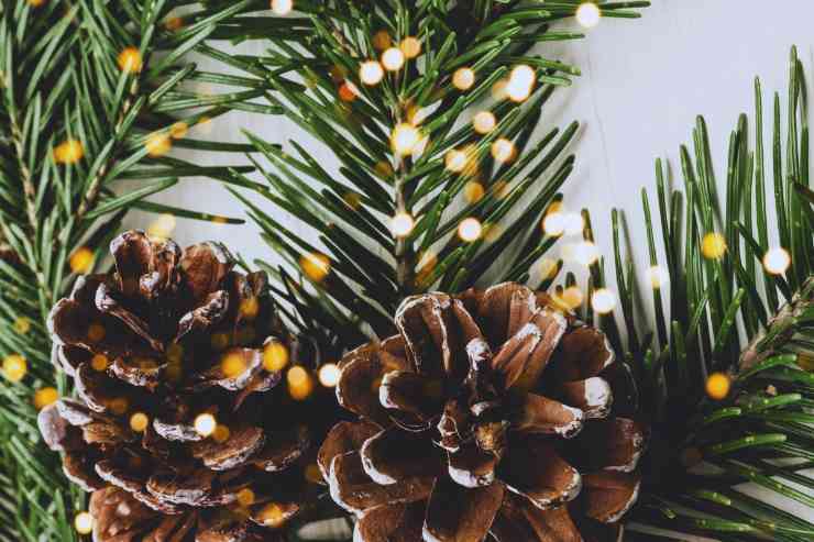Pigne dipinte utilizzate come addobbo natalizio