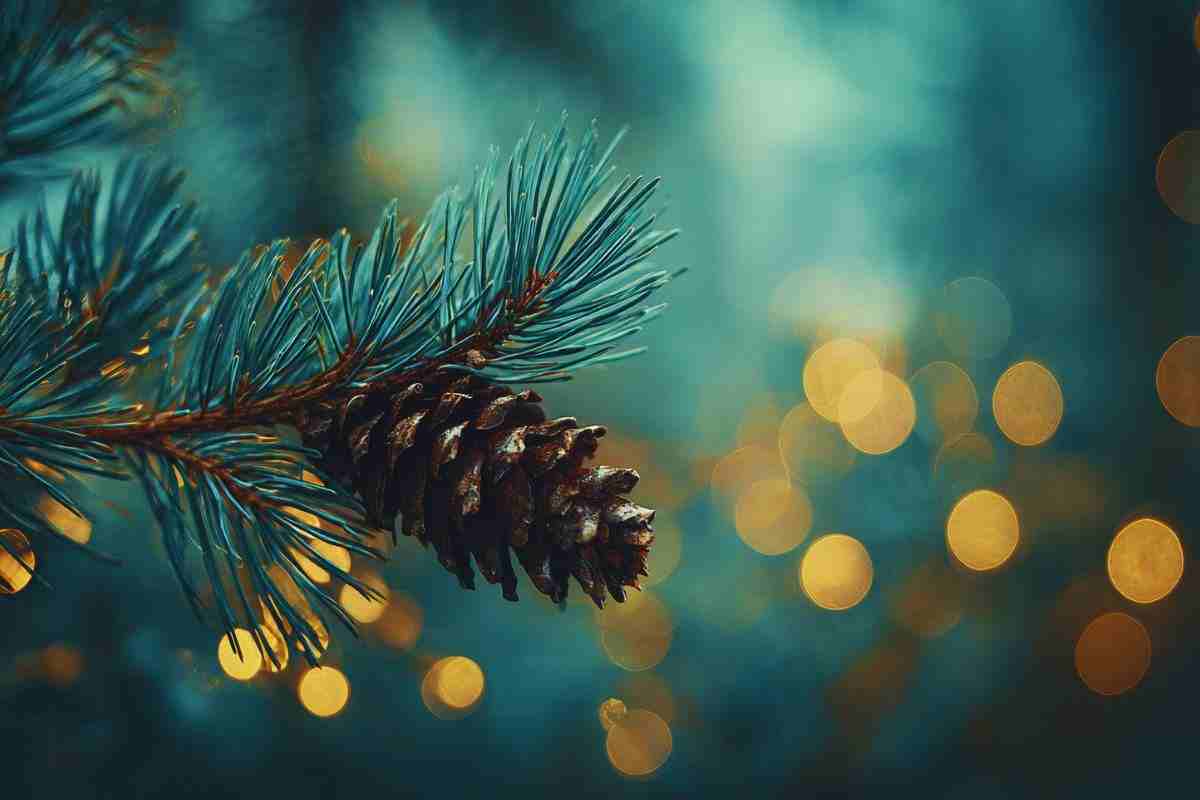 Pigna appesa ad un ramo