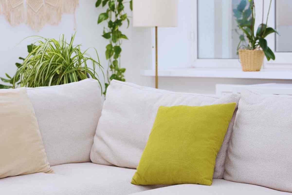 Angolo divano arredato con piante verdi