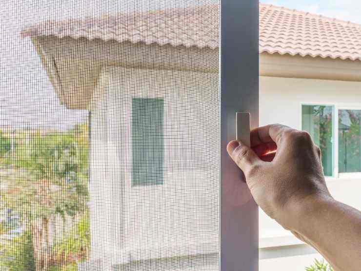 zanzariera sulla finestra