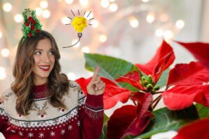 stella natale come mantenerla nel tempo