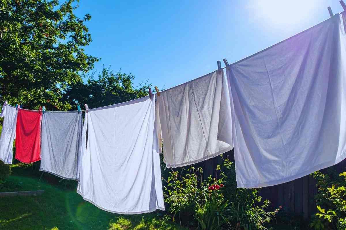 Bucato steso su un filo in una giardino