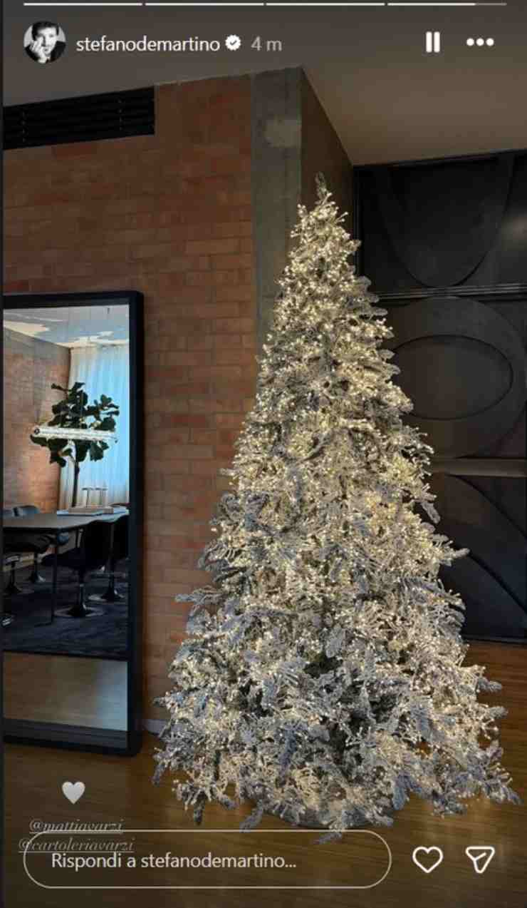 Albero di Natale innevato a casa di Stefano De Martino