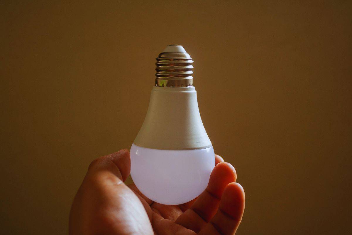 Persona che tiene una lampadina a Led in mano