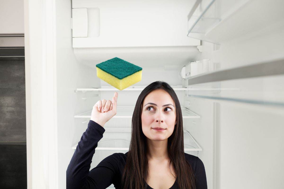 Giovane donna che indica una spugna per piatti che si trova all'interno di un frigorifero vuoto